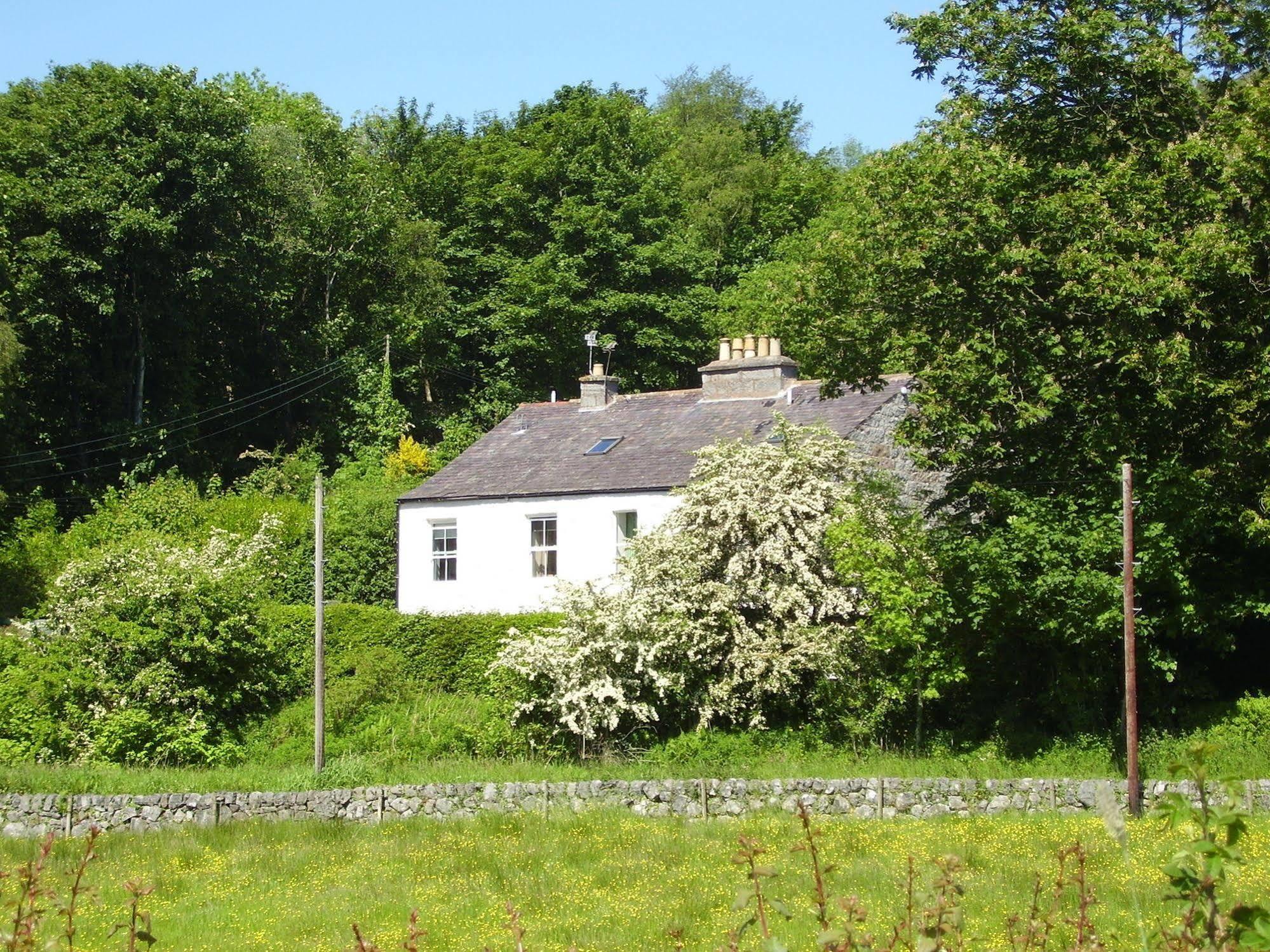 Craignair Cottage Dalbeattie Exterior foto